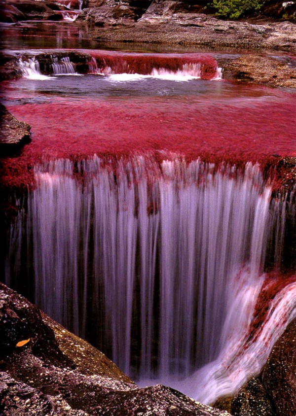 Hang động băng đá ở Oregon, Mỹ.
